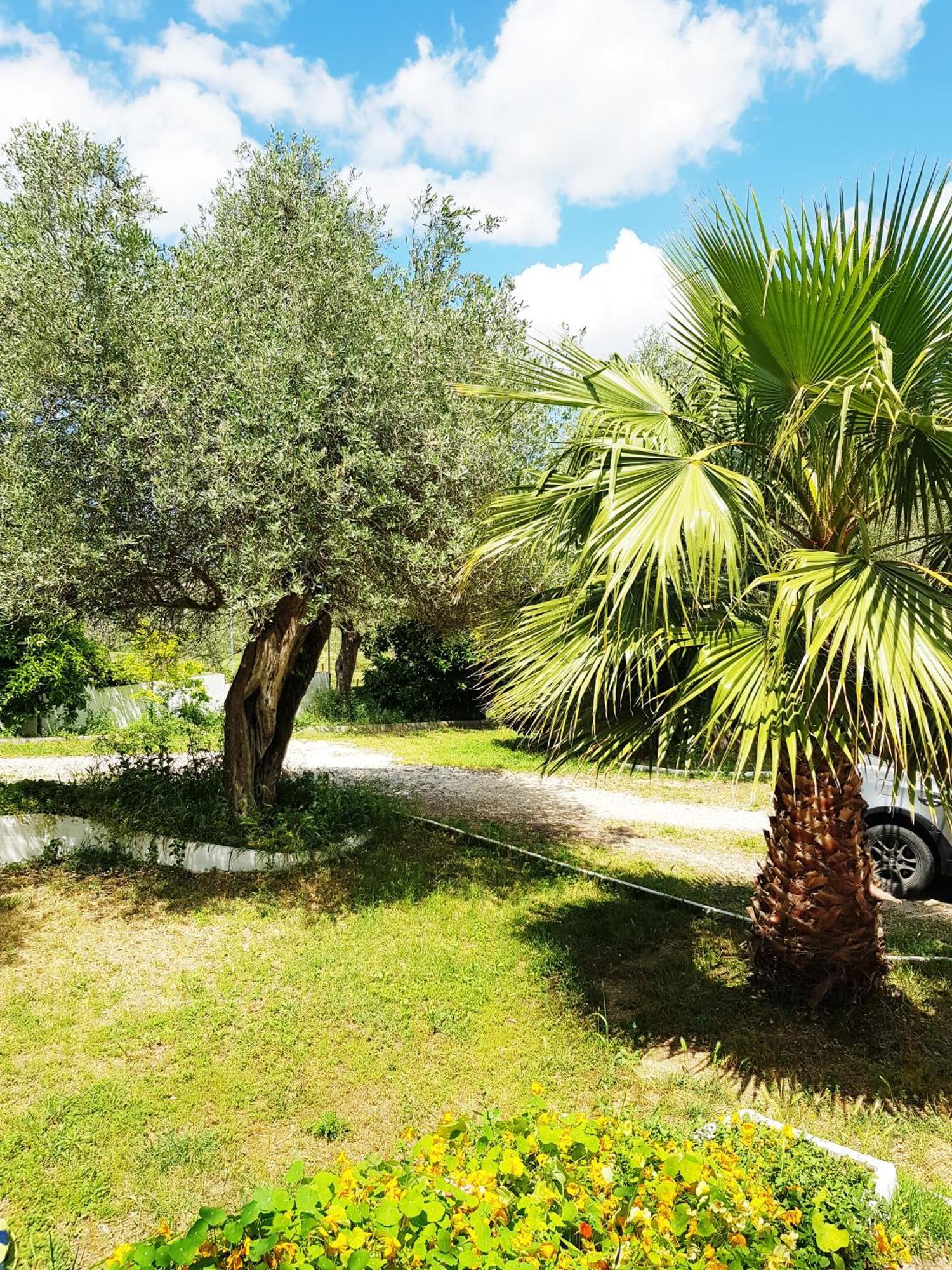 Villa Del Mar Country Loft Sassari Eksteriør billede